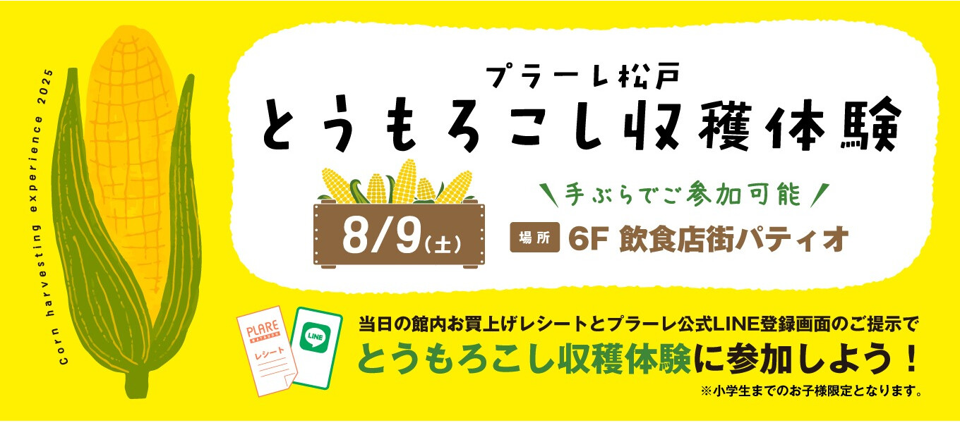 8/9とうもろこし収穫体験